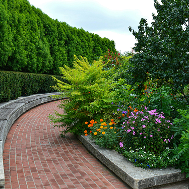 Цветущие сады